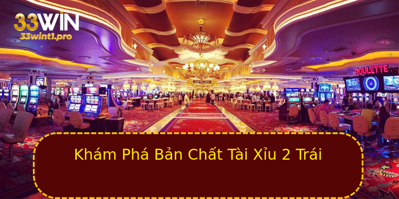 Khám Phá Bản Chất Tài Xỉu 2 Trái Khám Phá Bản Chất Tài Xỉu 2 Trái